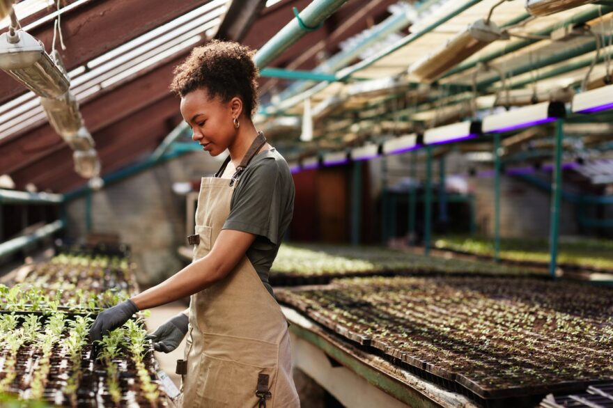 Классы СОУТ