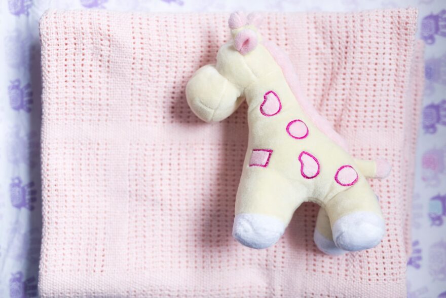 ТР ТС игрушки 008: на какие товары не распространяется регламент